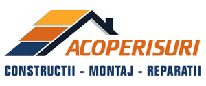 Reparatii Acoperisuri